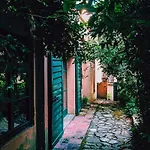 Lemon House Among Vineyards In *