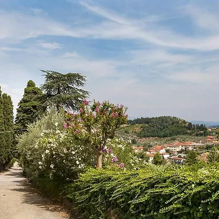 Casa de Férias Lemon House Among Vineyards In Bacchereto